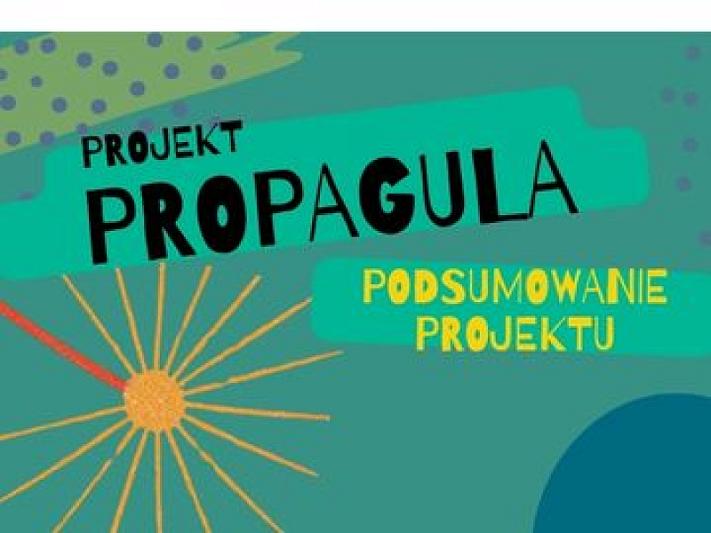 Propagula. Podsumowanie projektu - Spotkanie