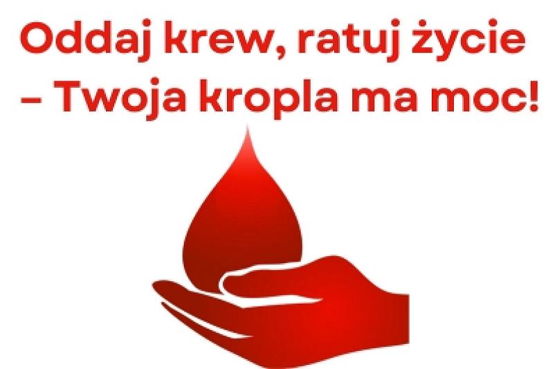 Oddaj krew i pomóż innym