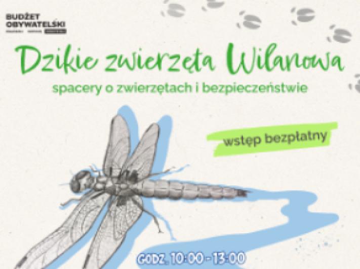 Zwierzęta wodne nad Jeziorem Powsinkowskim