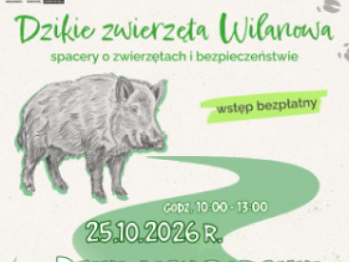 Dziki, lisy i borsuki w miejskiej przestrzeni